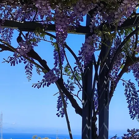 Casa Del Poggio Barone - Limone Дом отдыха *